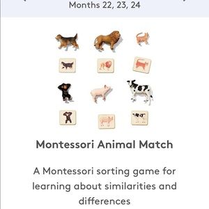 Lovevery animal match